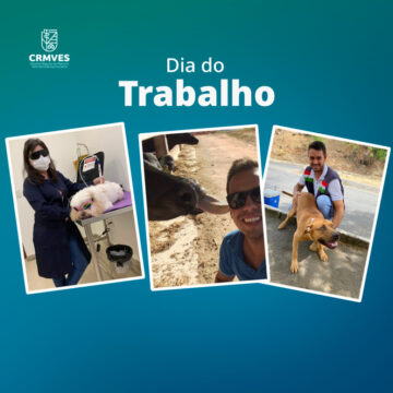 Projeto-Dia-do-Trabalhador-Site