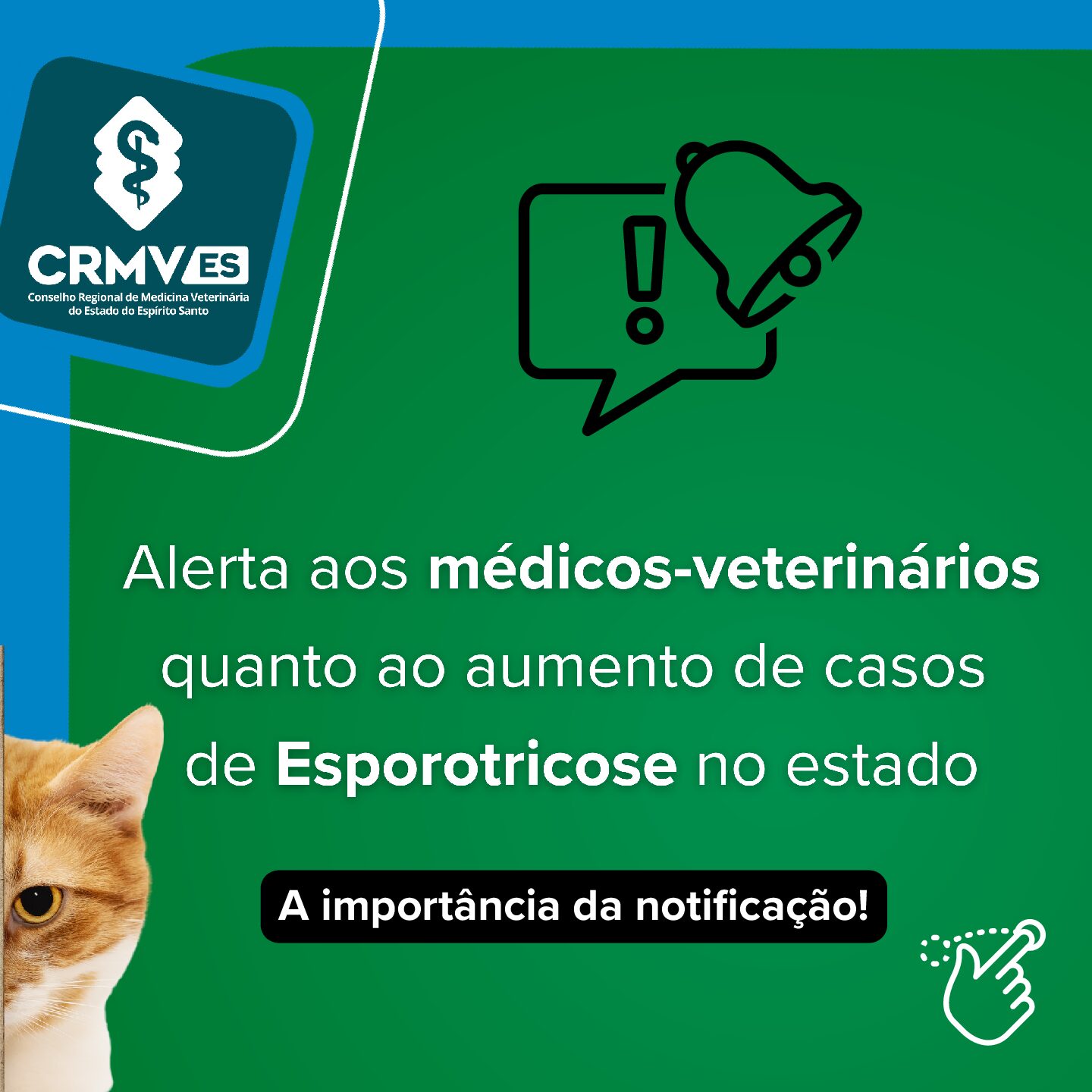 Alerta aos médicos-veterinários quanto ao aumento de casos de Esporotricose no estado!