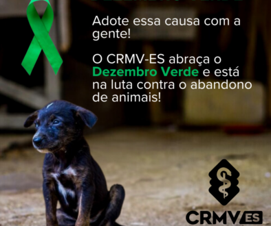 Post- CRMV-ES participa do Encontro Nacional Integrar, em Brasília, sobre a fiscalização veterinária (Post para Instagram) (1)