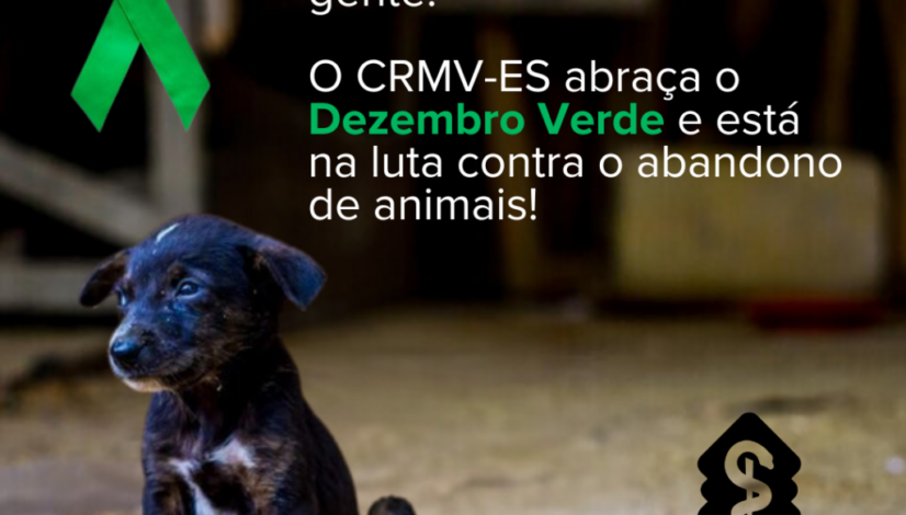 Post- CRMV-ES participa do Encontro Nacional Integrar, em Brasília, sobre a fiscalização veterinária (Post para Instagram) (1)