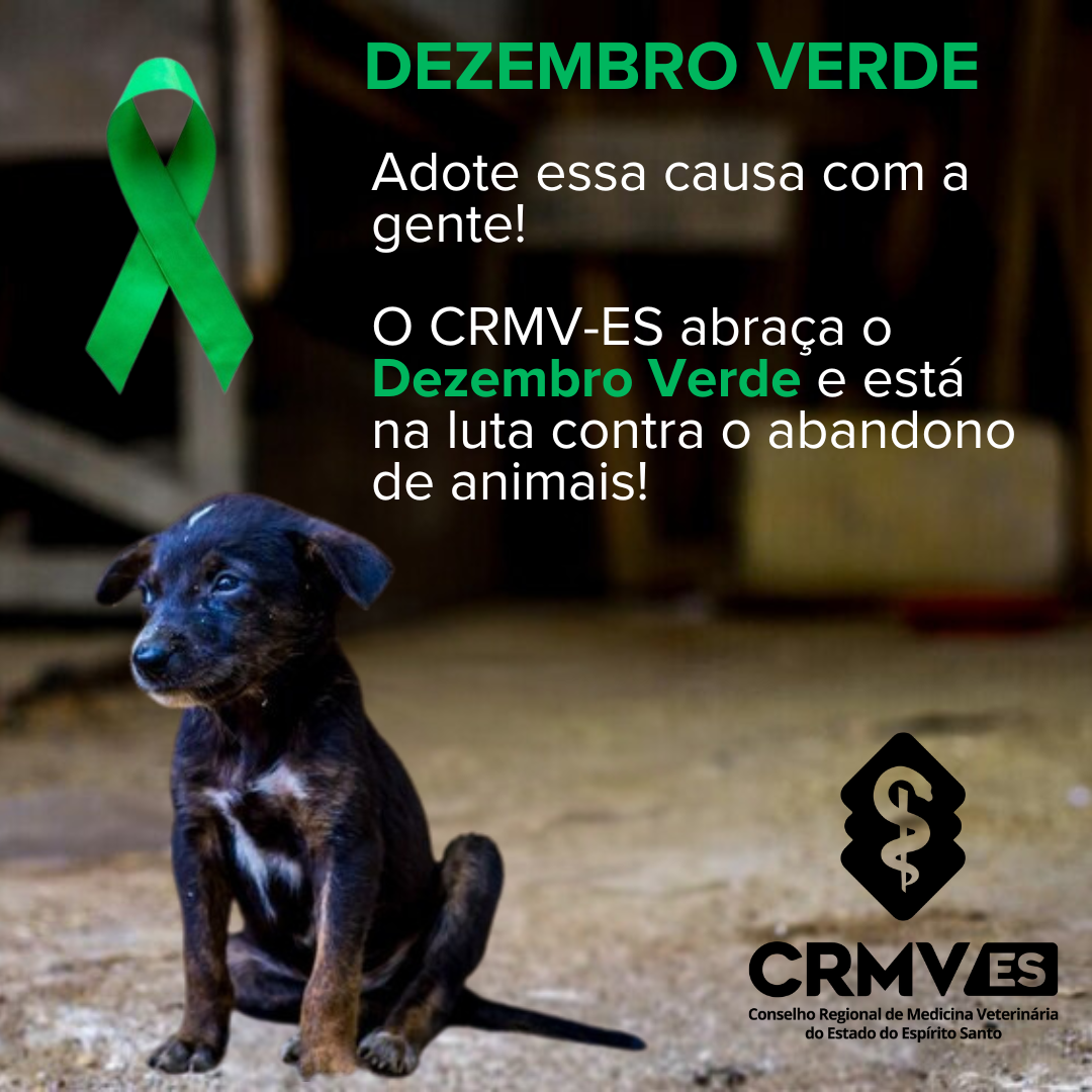 Post- CRMV-ES participa do Encontro Nacional Integrar, em Brasília, sobre a fiscalização veterinária (Post para Instagram) (1)