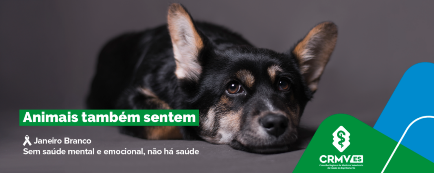 Banner-Janeiro-Branco-Animais