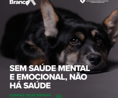 JAneiro-Branco---Pets_01