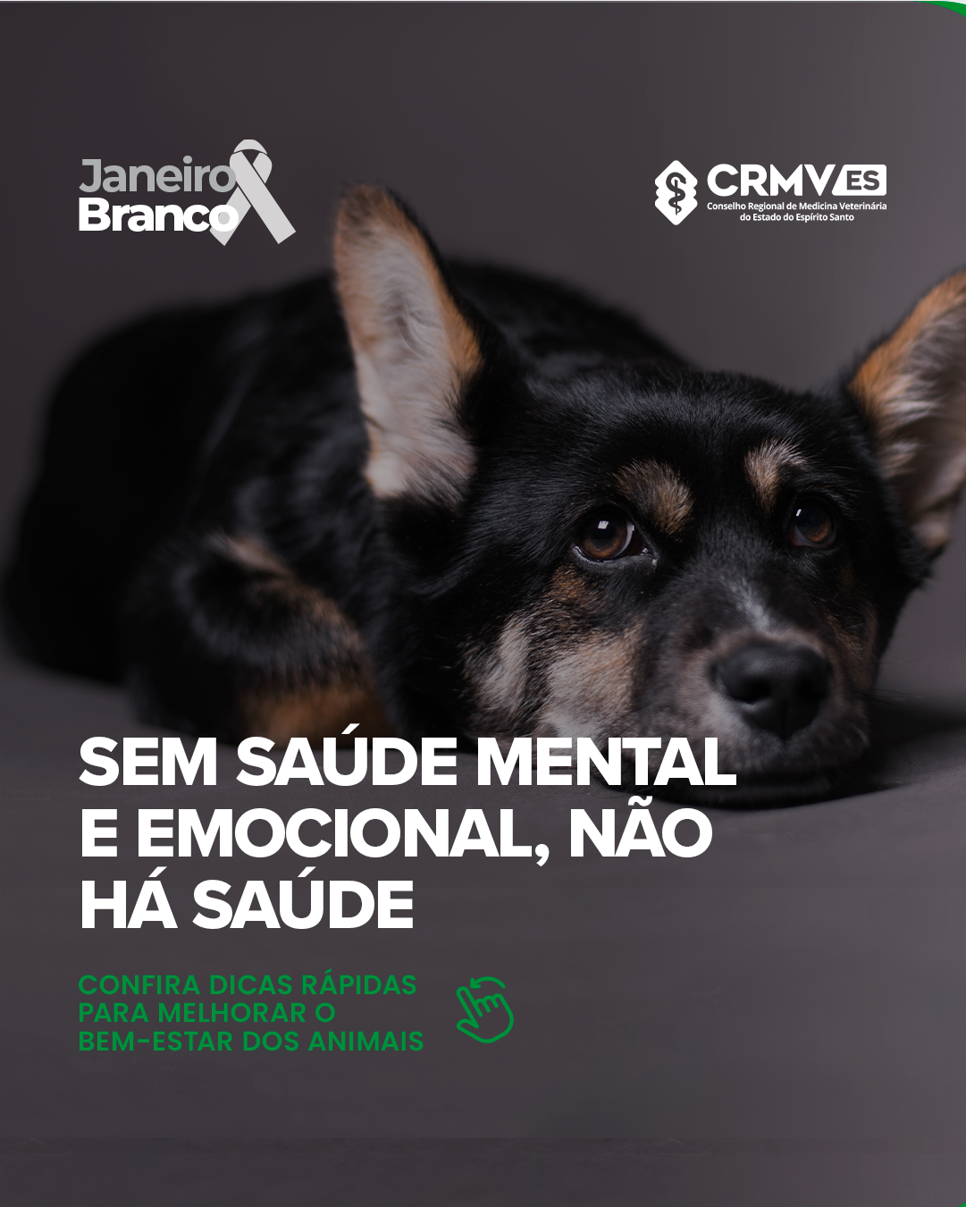 JAneiro-Branco---Pets_01