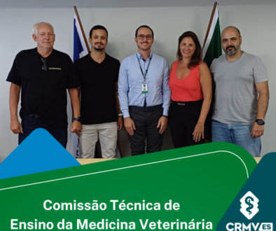 2025-02-11 Reunião da Comissão Técnica de Ensino de MV (1)